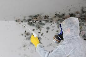 Trusted Marvell, AR Mold Inspection Experts